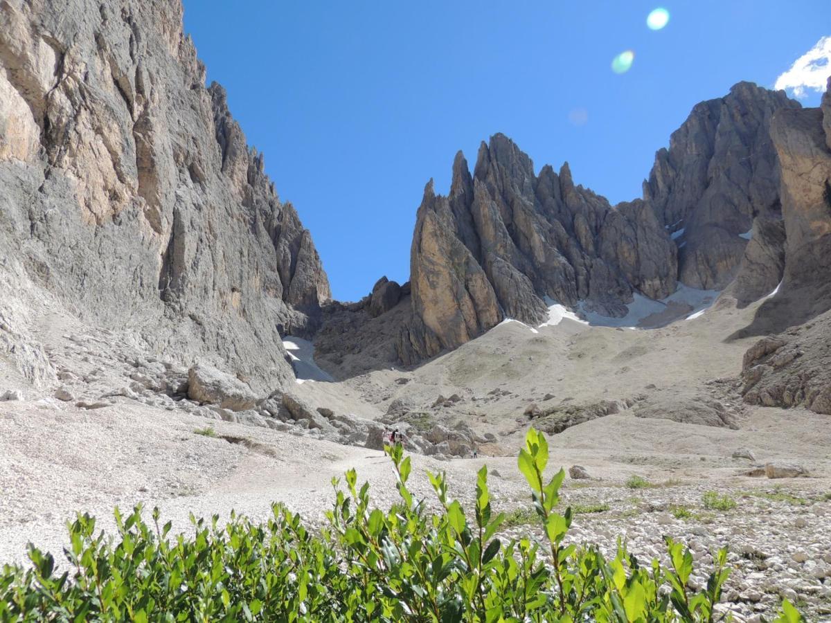 Hotel Chalet Dlaces Selva di Val Gardena Eksteriør bilde