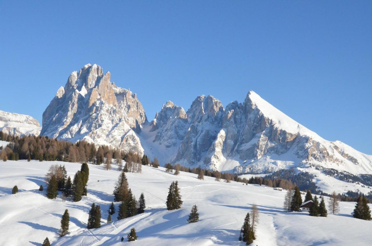 Hotel Chalet Dlaces Selva di Val Gardena Eksteriør bilde