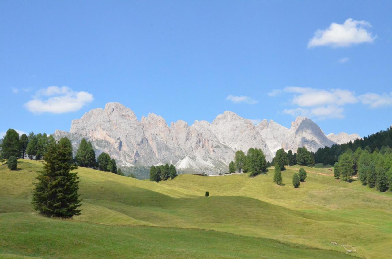 Hotel Chalet Dlaces Selva di Val Gardena Eksteriør bilde