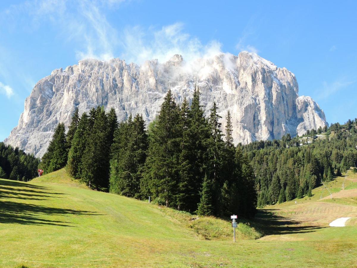 Hotel Chalet Dlaces Selva di Val Gardena Eksteriør bilde